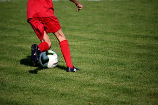 九游娱乐下载-基层足球项目评估体系尚未建立 第2张